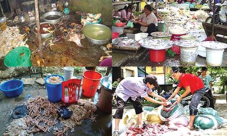 Khi thực phẩm bẩn vẫn “dễ bề làm ăn