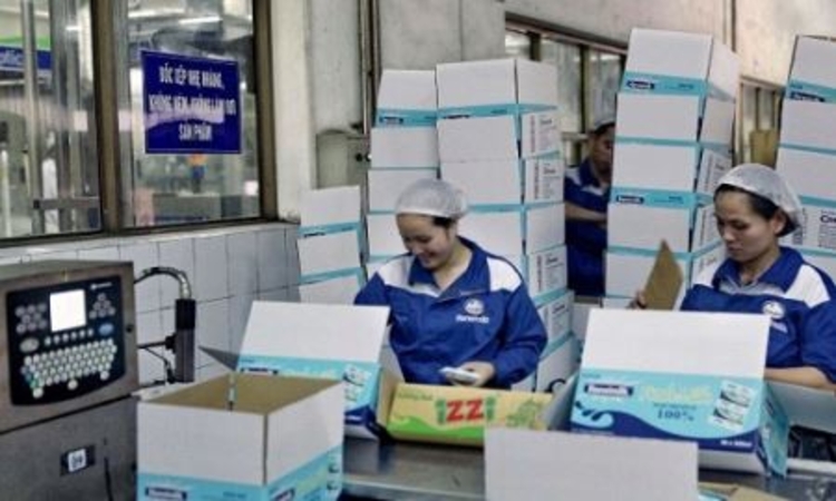 Cổ phiếu Hanoimilk bị tạm ngừng giao dịch