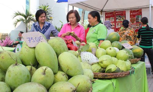 “Giảm lượng, tăng chất” là điều cần làm ngay với nhiều ngành hàng nông sản XK