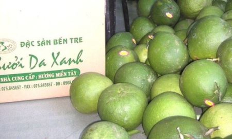 Bưởi da xanh, dừa xiêm Bến Tre được cấp giấy đăng ký chỉ dẫn địa lý