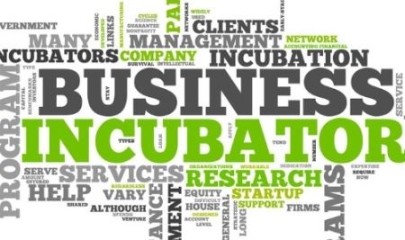 VnBusiness