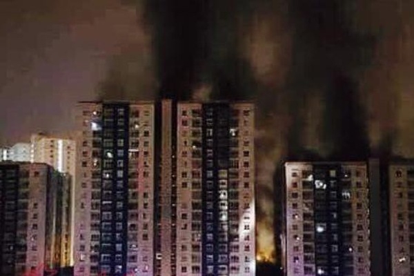 au khi sự cố hỏa hoạn xảy ra, giá cổ phiếu NBB ngày 23/3 đang giảm kịch biên độ