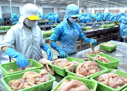 Xuất khẩu thủy sản vẫn khởi sắc