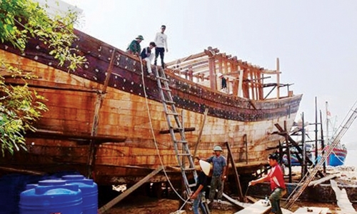 Đoàn công tác thăm của hàng tiêu thụ sản phẩm của HTX Nông sản an toàn Tam Điệp