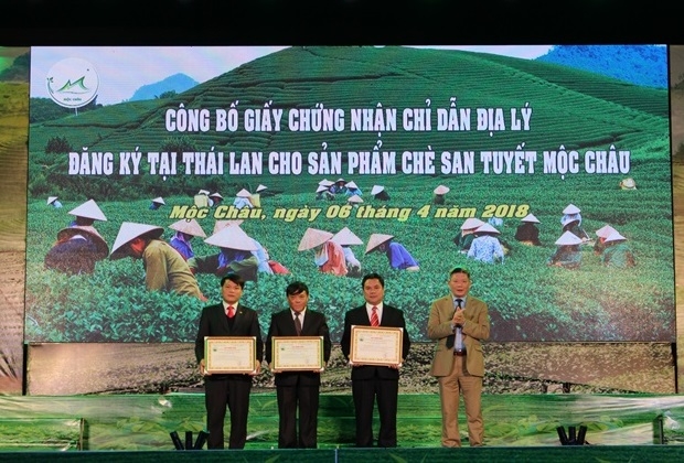 Trao giấy chứng nhận chỉ dẫn địa lý cho 3 đơn vị SX chè Shan tuyết Mộc Châu