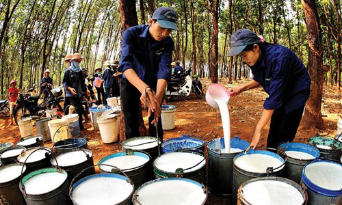 cổ phiếu cao su chỉ thích hợp cho đầu tư dài hạn