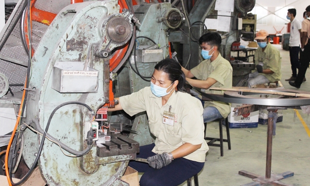 Số DN siêu nhỏ đang chiếm đến 74% tổng số DN ở Việt Nam