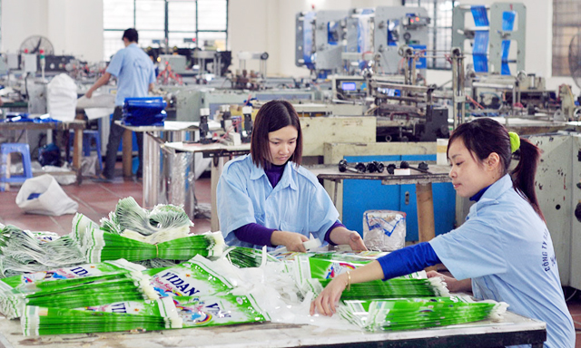 Những dự án đầu tư 2-3 triệu USD, doanh nghiệp tư nhân trong nước hoàn toàn có thể làm được