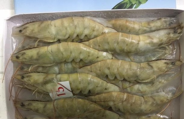 EU vẫn là thị trường NK lớn nhất của tôm Việt Nam