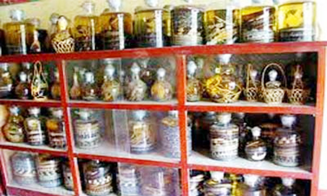 Rượu rắn - sản phẩm được ưa chuộng của HTX