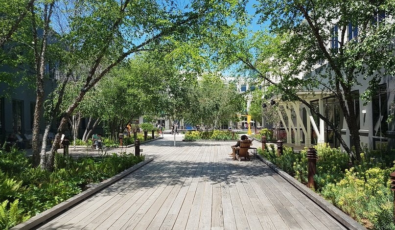 Cây chống chọi thời tiết Tất cả các cây trồng ở khu vực này đều được lựa chọn các loài có thể chịu được khí hậu khô cằn của thung lũng Silicon.