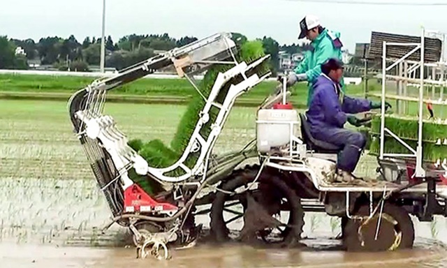 Nguy cơ mất ATLĐ vẫn luôn rình rập trong lao động nông nghiệp