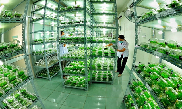 Trên cả nước hiện đã có nhiều chuỗi giá trị thành công