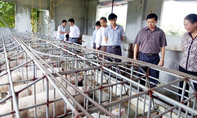 Công tác ATLĐ trong HTX đang được chú trọng tại Lai Châu