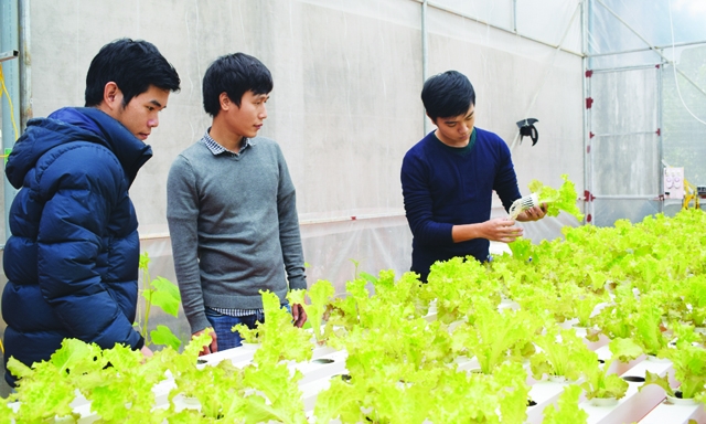 HTX Công nghệ cao Tiến Minh khởi nghiệp cùng sự hỗ trợ kịp thời của Quỹ Hỗ trợ phát triển HTX Yên Bái