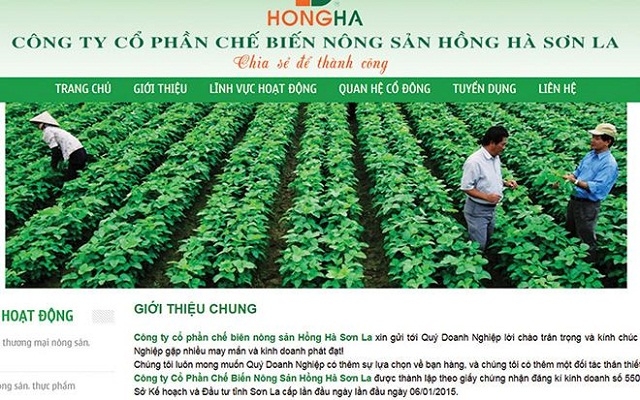 HSL lên sàn trong bối cảnh hàng loạt đại gia đang đổ tiền vào nông nghiệp