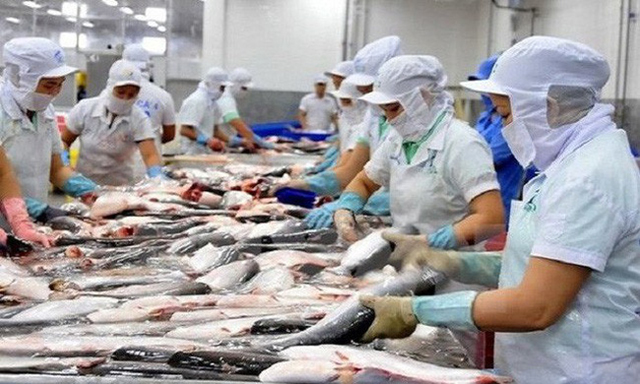 Vasep kiến nghị Chính phủ xem xét và chỉ đạo thực hiện quản lý chất lượng theo chuẩn quốc tế đối với cá tra XK đi Trung Quốc bằng đường bộ