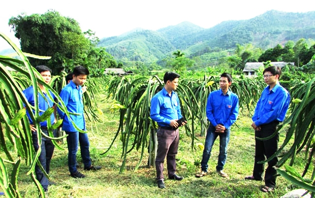 Kinh tế HTX đang tạo động lực lớn trong xóa đói, giảm nghèo,