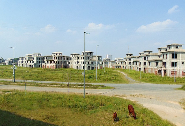 Đất đai trong khu đô thị hoang hóa, một vài con bê gặm cỏ thong dong