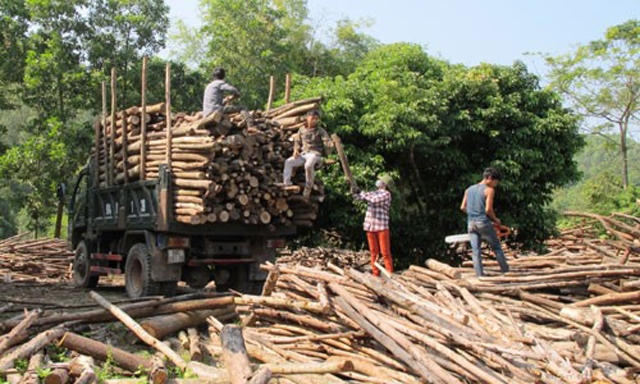 Vấn đề ATVSLĐ được HTX quan tâm đúng mức