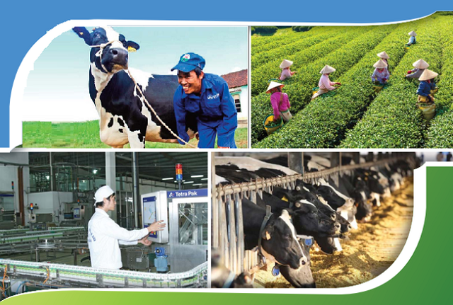 Trong quý I, biên lãi gộp của GTN đã tăng mạnh từ ngưỡng 11% cùng kỳ lên mức hơn 17% nhờ chiến lược tập trung vào các mảng kinh doanh cốt lõi.