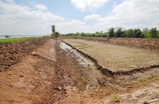 Đào ao nuôi cá tra giống ở Đồng Tháp