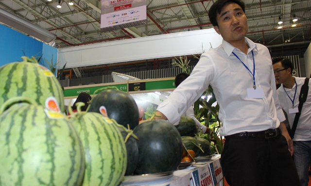 Dưa hấu đang rớt giá chờ “giải cứu” tương phản với kỳ tích xuất khẩu rau quả