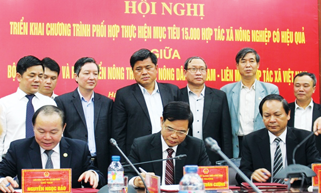 Bộ NN&PTNT, Liên minh HTX Việt Nam và Trung ương Hội Nông dân Việt Nam đã xây dựng Chương trình phối hợp thực hiện