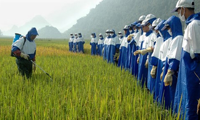 Nâng cao nhận thức về ATLĐ trong sản xuất nông nghiệp