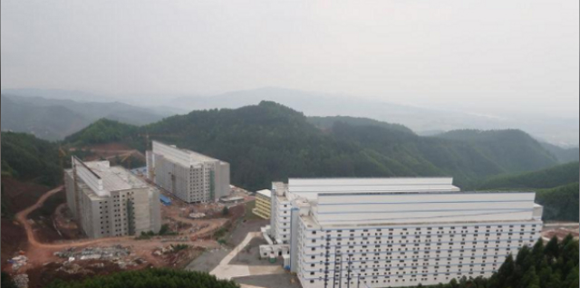 Trang trại heo cao tầng của Guangxi Yangxiang Co Ltd