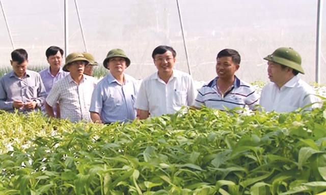 Chủ tịch Nguyễn Ngọc Bảo và Đoàn công tác khảo sát mô hình trồng rau công nghệ cao tại xã Nam Anh
