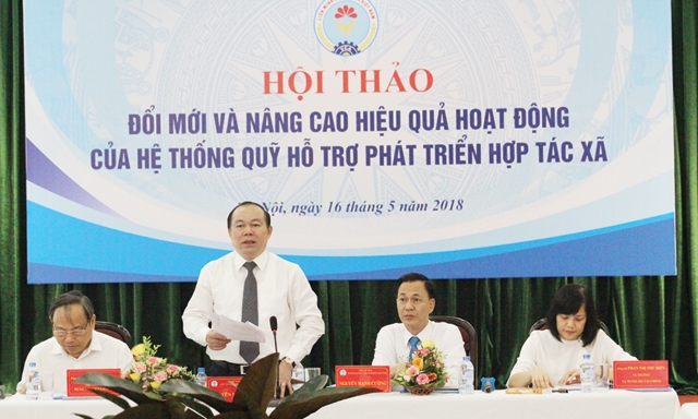Hầu hết lãnh đạo các HTX đều cho rằng mức vốn điều lệ quy định là 100 tỷ đồng cho tất cả các tỉnh là không phù hợp.