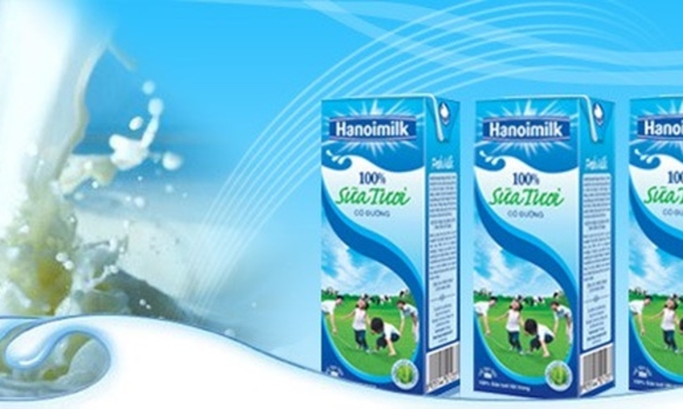 Hanoimilk phải giải trình nguyên nhân bị hủy niêm yết