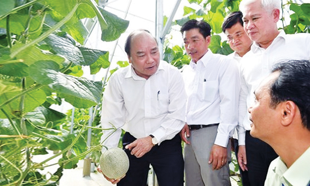 Thủ tướng Nguyễn Xuân Phúc thăm một mô hình nông nghiệp CNC tại Bình Phước