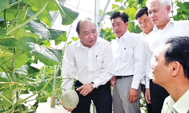 Thủ tướng Nguyễn Xuân Phúc thăm một mô hình nông nghiệp CNC tại Bình Phước