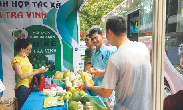 Một gian hàng tại Hội chợ Xúc tiến thương mại cho các HTX 2018