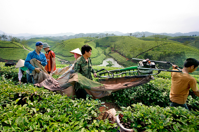 Huyện Tân Sơn phấn đấu nâng mức thu nhập bình quân lên 20,7 triệu đồng/người/năm