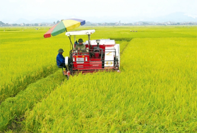 Sản xuất nông nghiệp đi đôi với bảo vệ môi trường là bước đi vững chắc mà HTX đã thực hiện trong nhiều năm qua