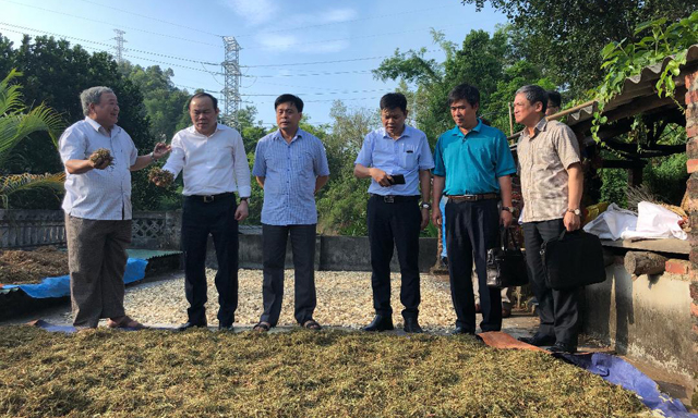 Chủ tịch Nguyễn Ngọc Bảo thăm HTX Đông Nam dược