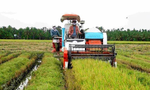 Các HTX tại Hậu Giang đang hoạt động hiệu quả và tạo sức lan tỏa mạnh mẽ