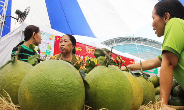 Giá, phí vận chuyển cao làm khó tiêu thụ nông sản