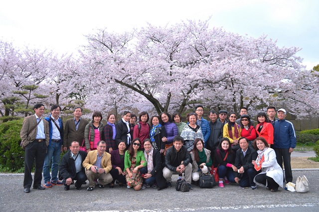 Hàn Quốc đang thu hút khách du lịch Việt Nam