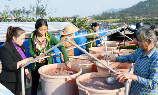 HTX tạo việc làm thường xuyên cho 20 lao động