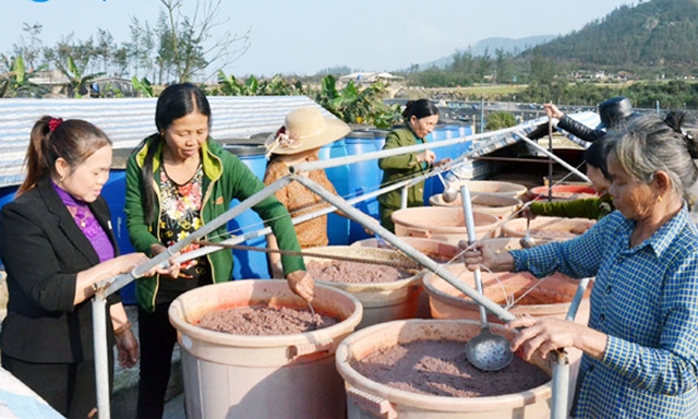 HTX tạo việc làm thường xuyên cho 20 lao động