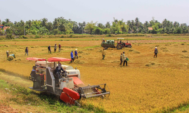 Trẻ hóa và nâng cao chất lượng nguồn nhân lực đang bài toán khó của các HTX