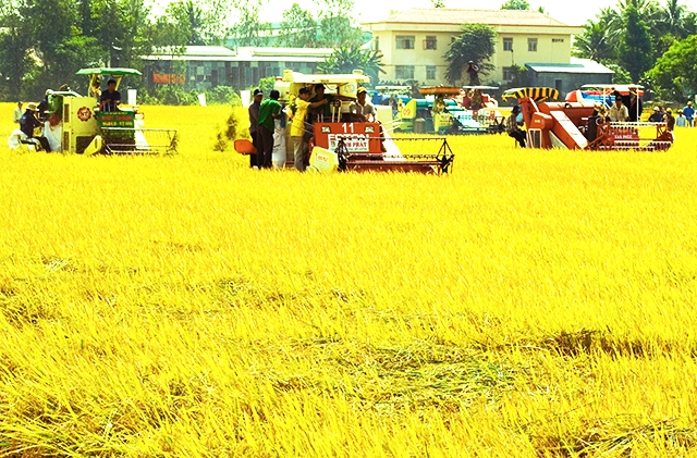 Hà Giang sẽ ưu tiên nhiều nguồn lực để hoàn thành mục tiêu NTM năm 2018