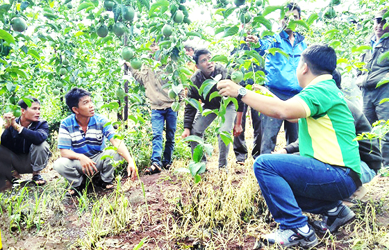 Kbang đang thực hiện hiệu quả nhiều chính sách giảm nghèo bền vững, tạo sức bật làm giàu cho người dân