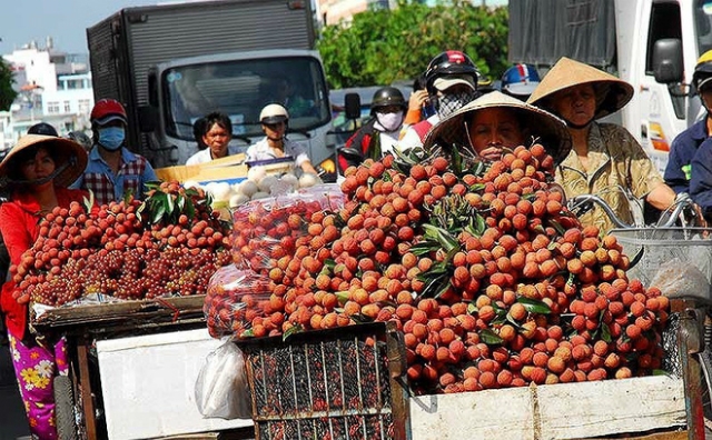 Xuất khẩu rau quả tăng hơn 16%