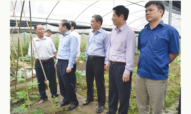 Đoàn công tác Liên minh HTX Việt Nam khảo sát HTX Tân Phú - công đoàn cơ sở mạnh của Công đoàn Liên minh HTX tỉnh Thái Nguyên