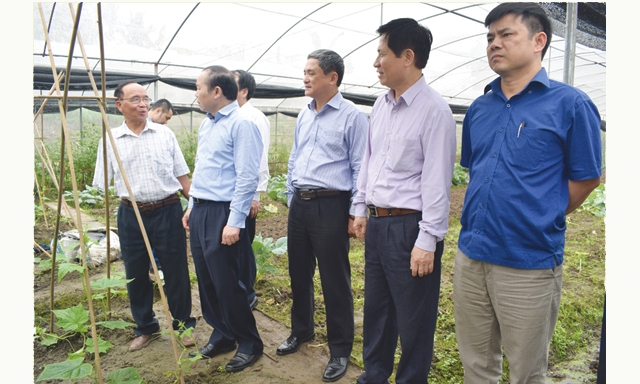 Đoàn công tác Liên minh HTX Việt Nam khảo sát HTX Tân Phú - công đoàn cơ sở mạnh của Công đoàn Liên minh HTX tỉnh Thái Nguyên